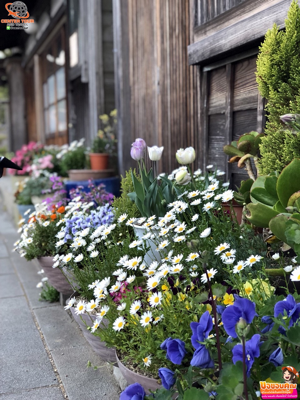 ทัวร์ญี่ปุ่น 