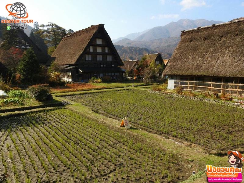 ทัวร์ญี่ปุ่น 