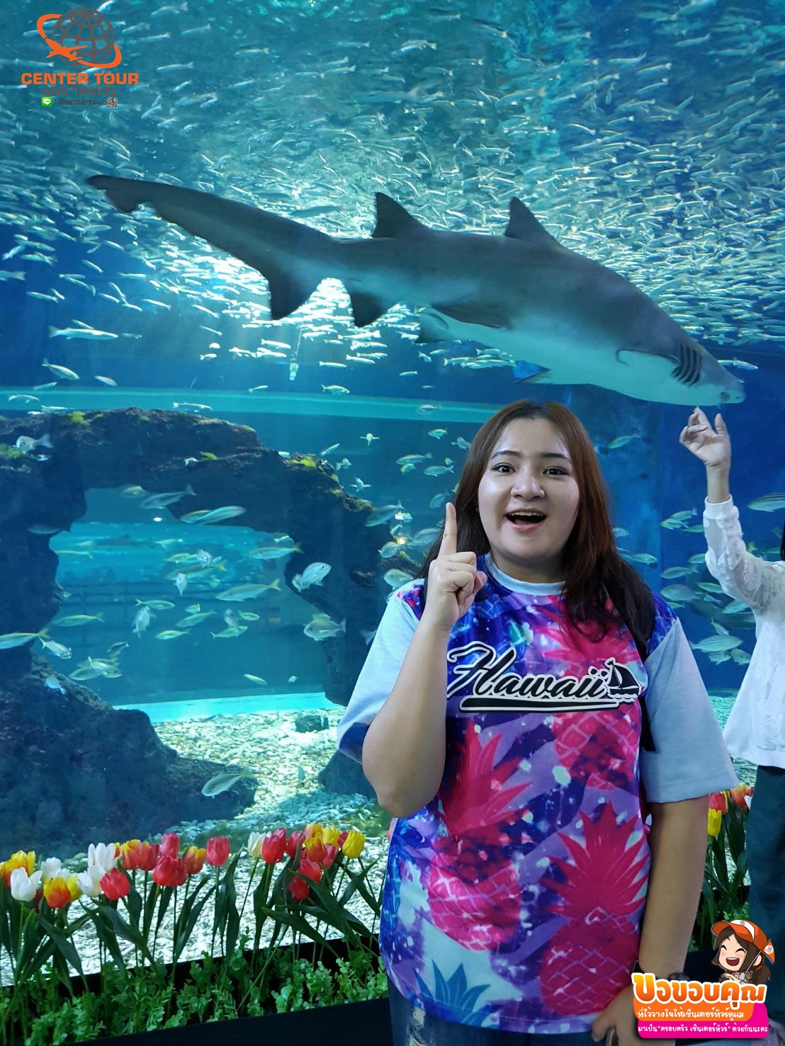 ทัวร์เกาหลี 