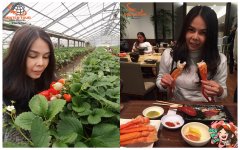 รีวิวลูกค้า ทัวร์ญี่ปุ่น