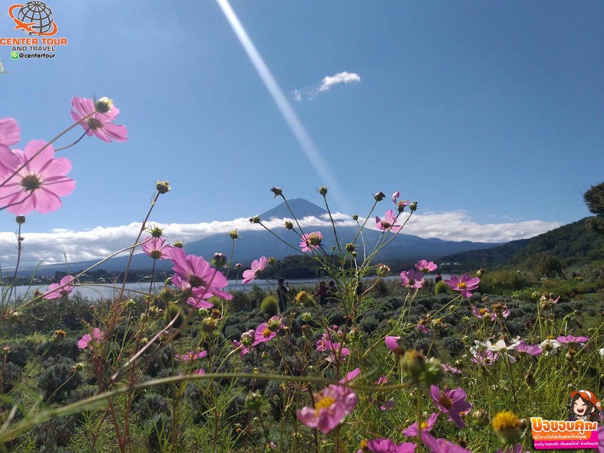 ทัวร์ญี่ปุ่น 