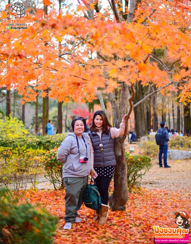 ทัวร์เกาหลี 