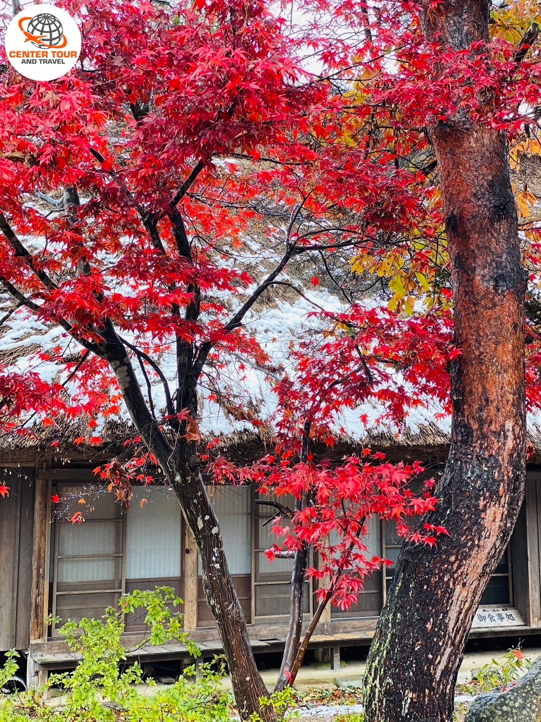 ทัวร์ญี่ปุ่น 