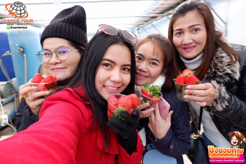 ทัวร์เกาหลี 