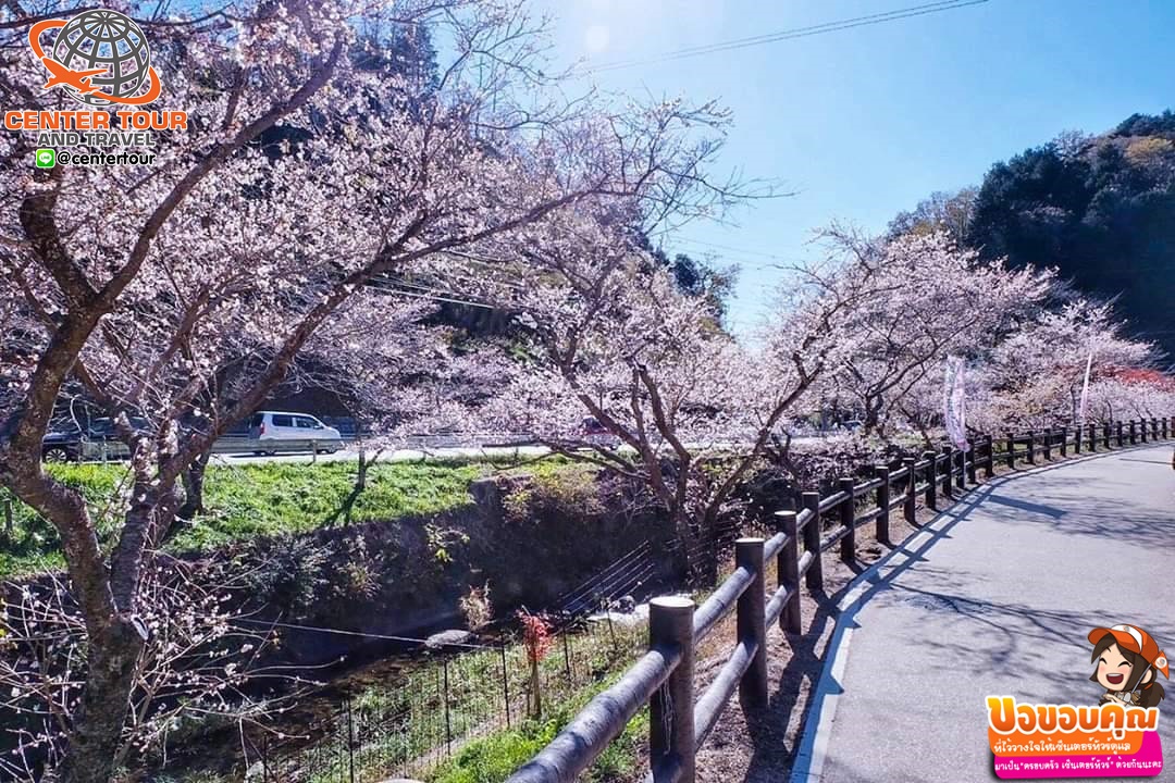 ทัวร์ญี่ปุ่น 