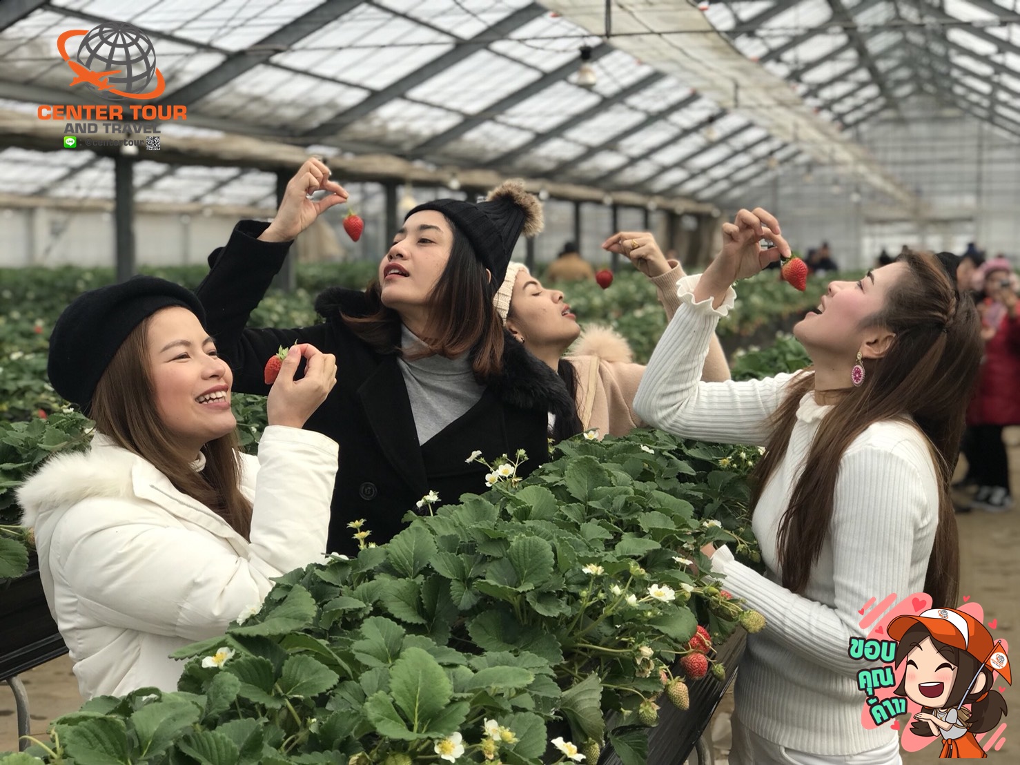 ทัวร์ญี่ปุ่น 