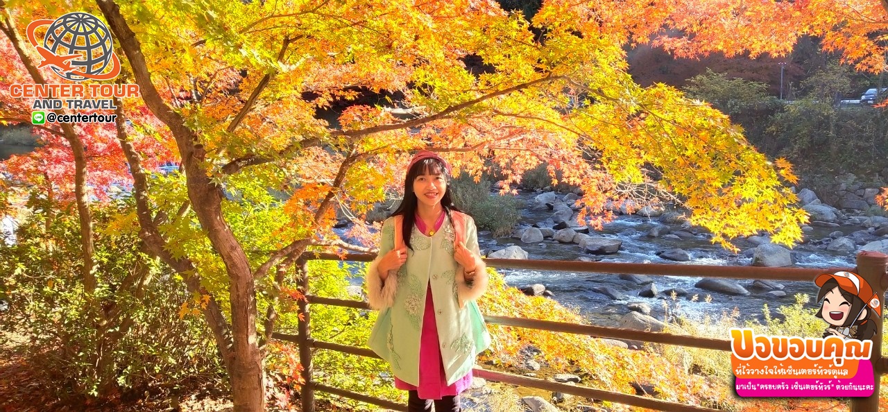 ทัวร์ญี่ปุ่น 