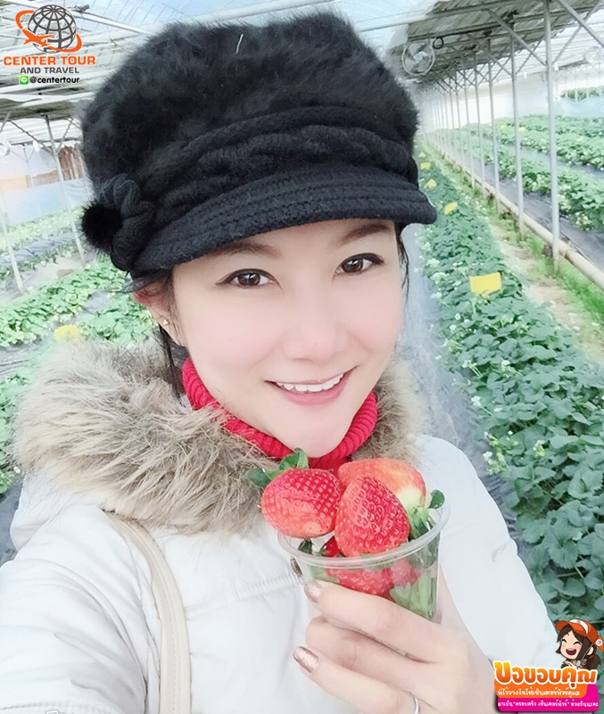 ทัวร์เกาหลี 