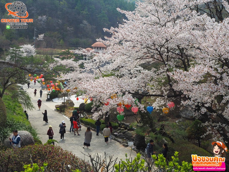 ทัวร์เกาหลี 