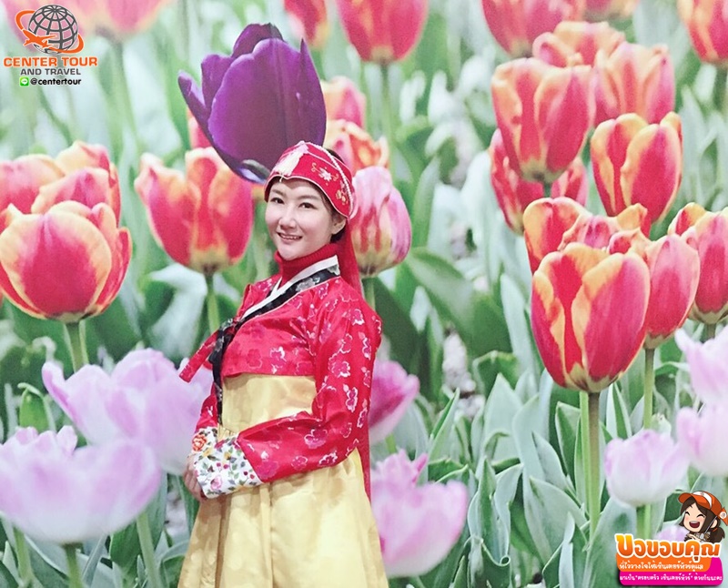 รีวิวลูกค้า ทัวร์เกาหลี