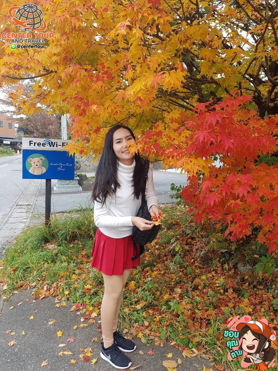 ทัวร์ญี่ปุ่น 