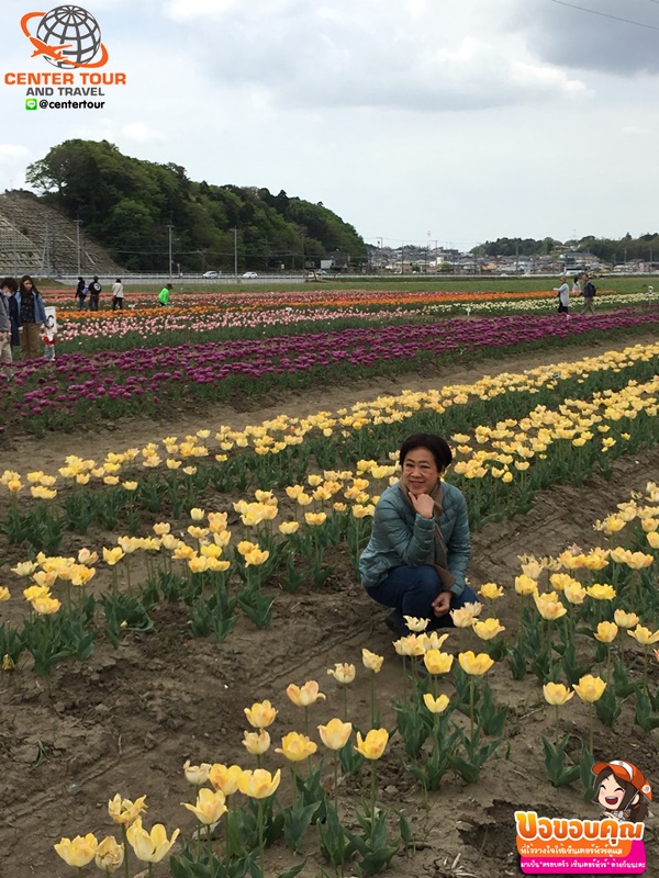 ทัวร์ญี่ปุ่น 