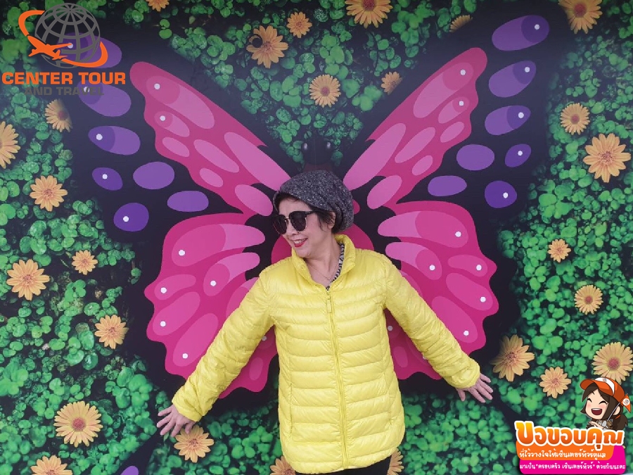 ทัวร์ฮ่องกง 