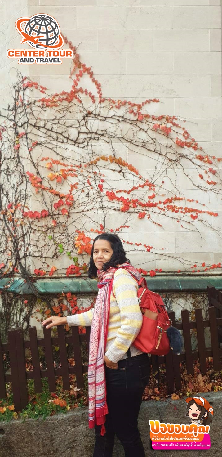 ทัวร์ญี่ปุ่น 