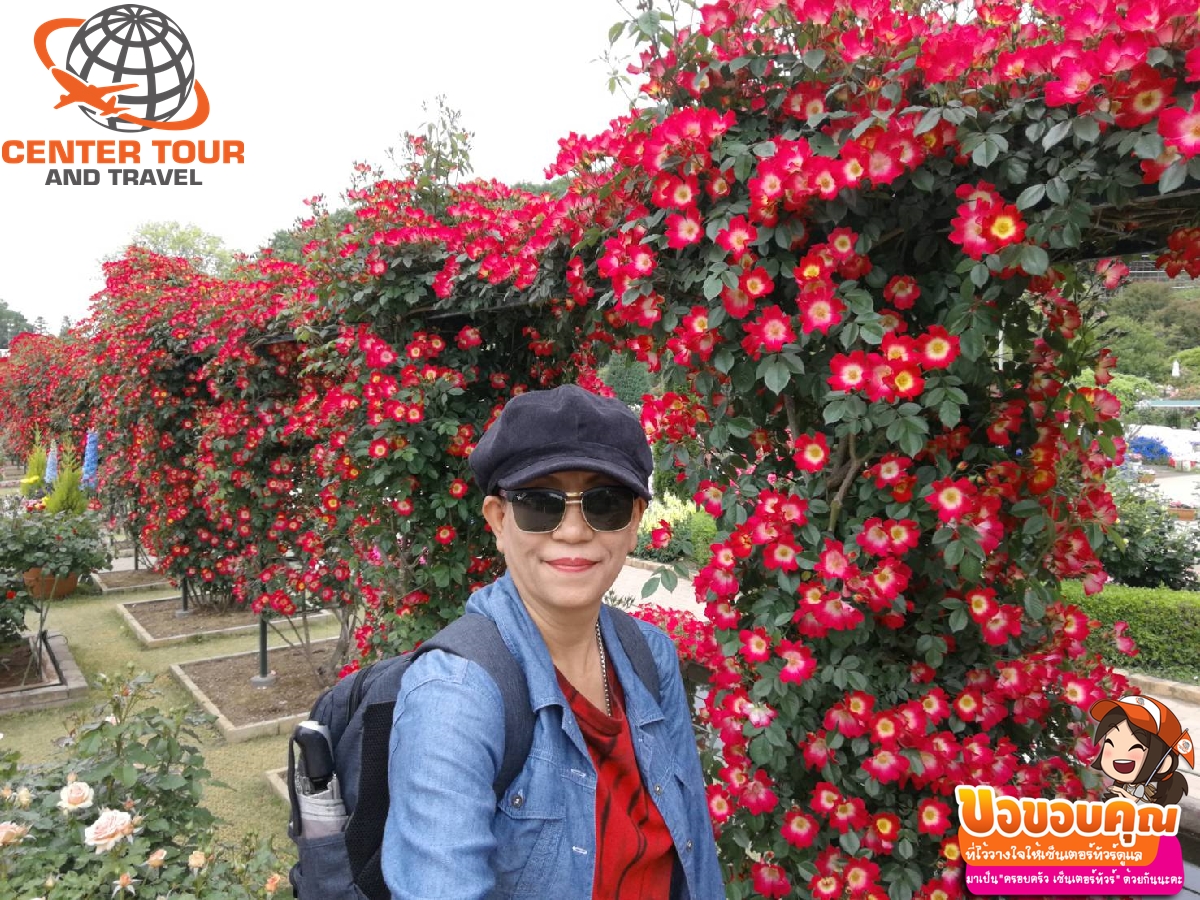 ทัวร์ญี่ปุ่น 