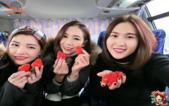 รีวิวลูกค้า ทัวร์ญี่ปุ่น