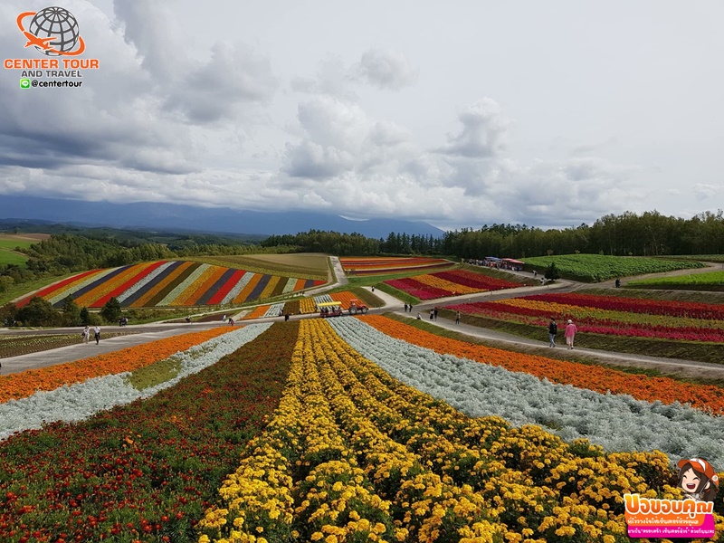 ทัวร์ญี่ปุ่น 