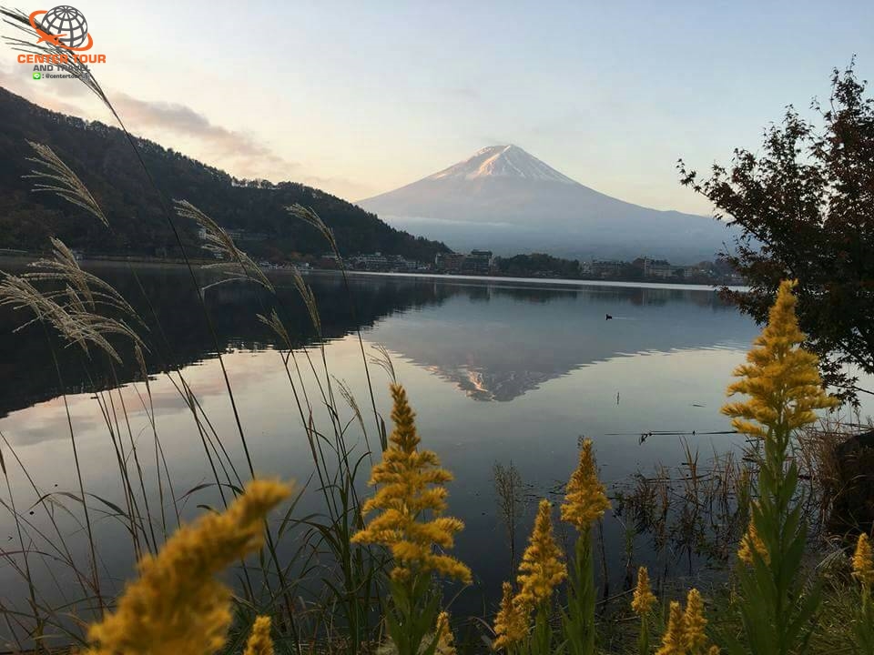 ทัวร์ญี่ปุ่น 