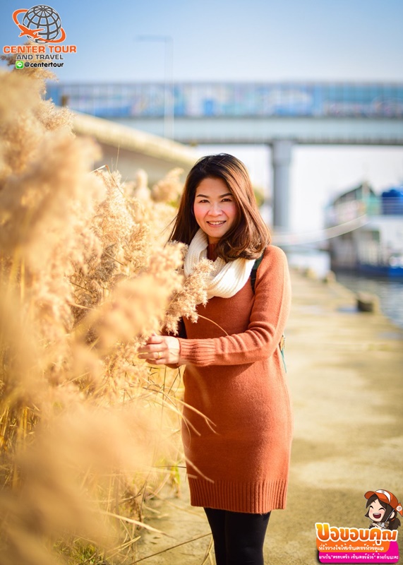 ทัวร์เกาหลี 