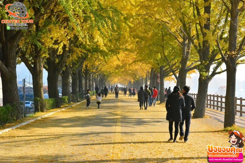 ทัวร์เกาหลี 