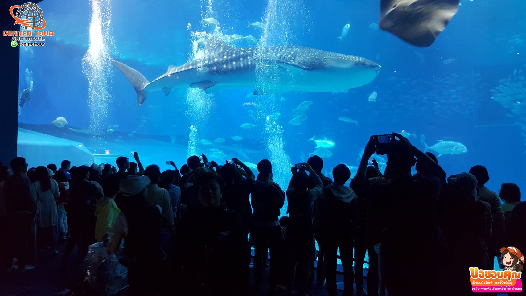 ทัวร์ญี่ปุ่น 