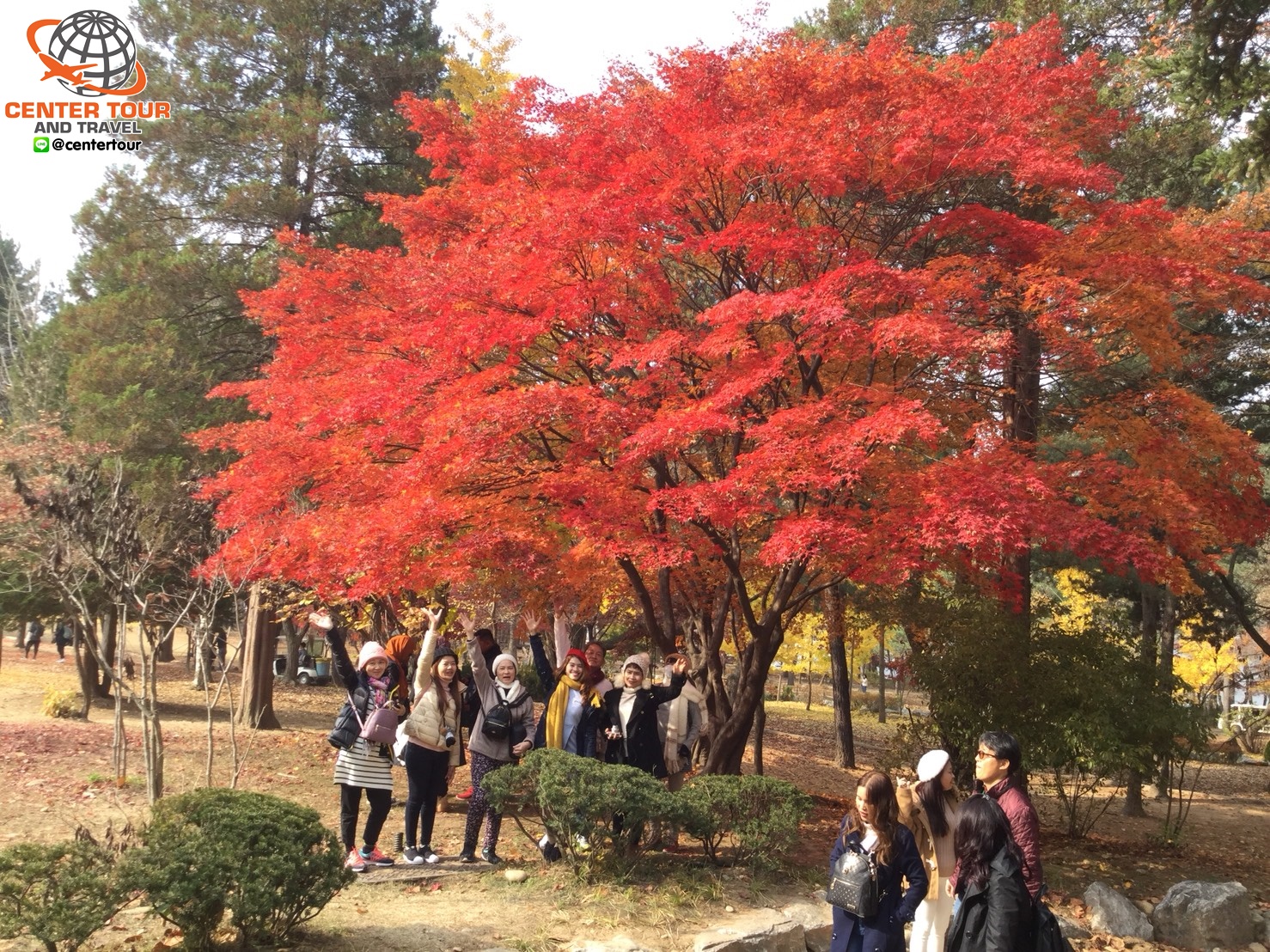 ทัวร์เกาหลี 