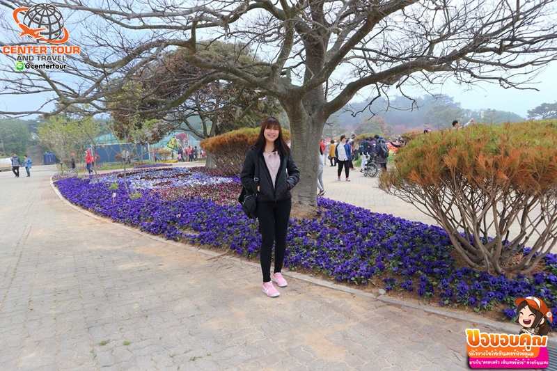 ทัวร์เกาหลี 