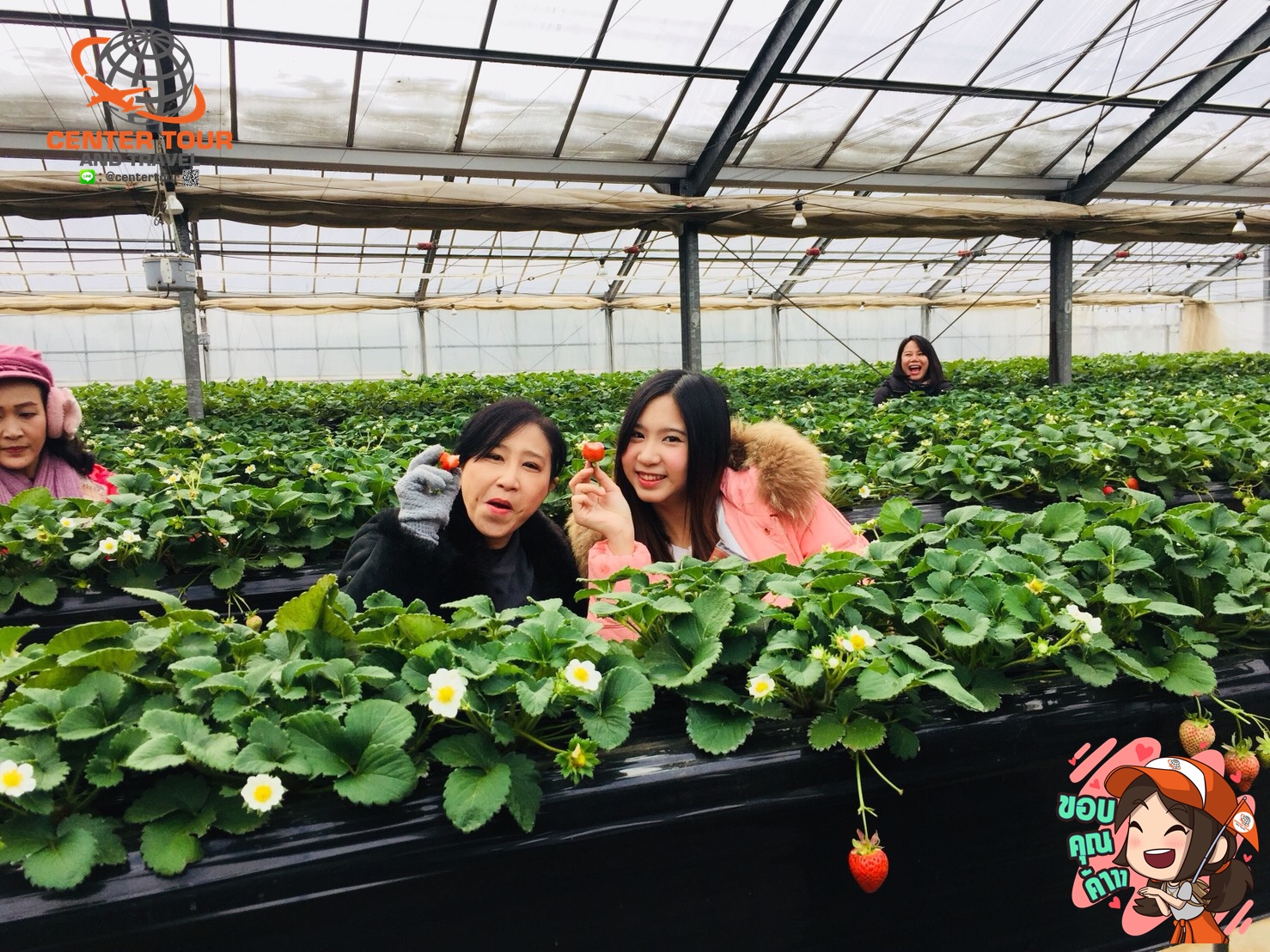 ทัวร์ญี่ปุ่น 