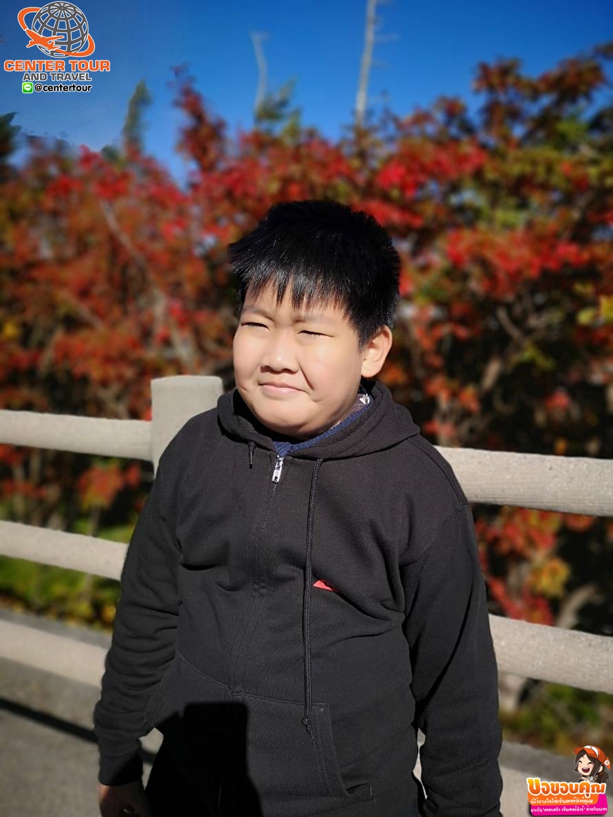 ทัวร์ญี่ปุ่น 