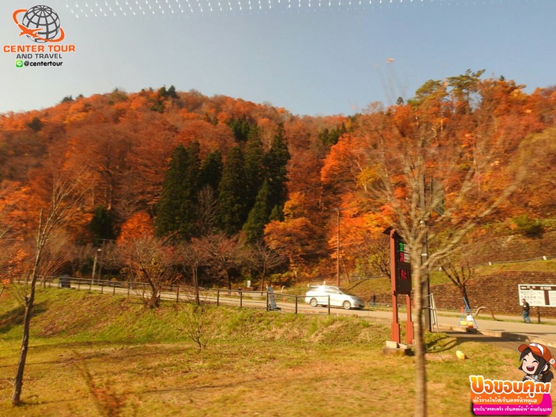 ทัวร์ญี่ปุ่น 