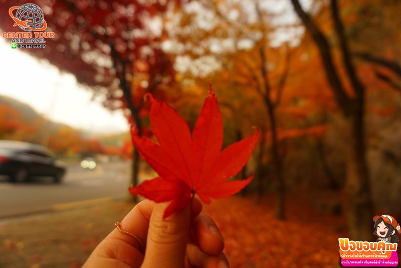 ทัวร์เกาหลี 