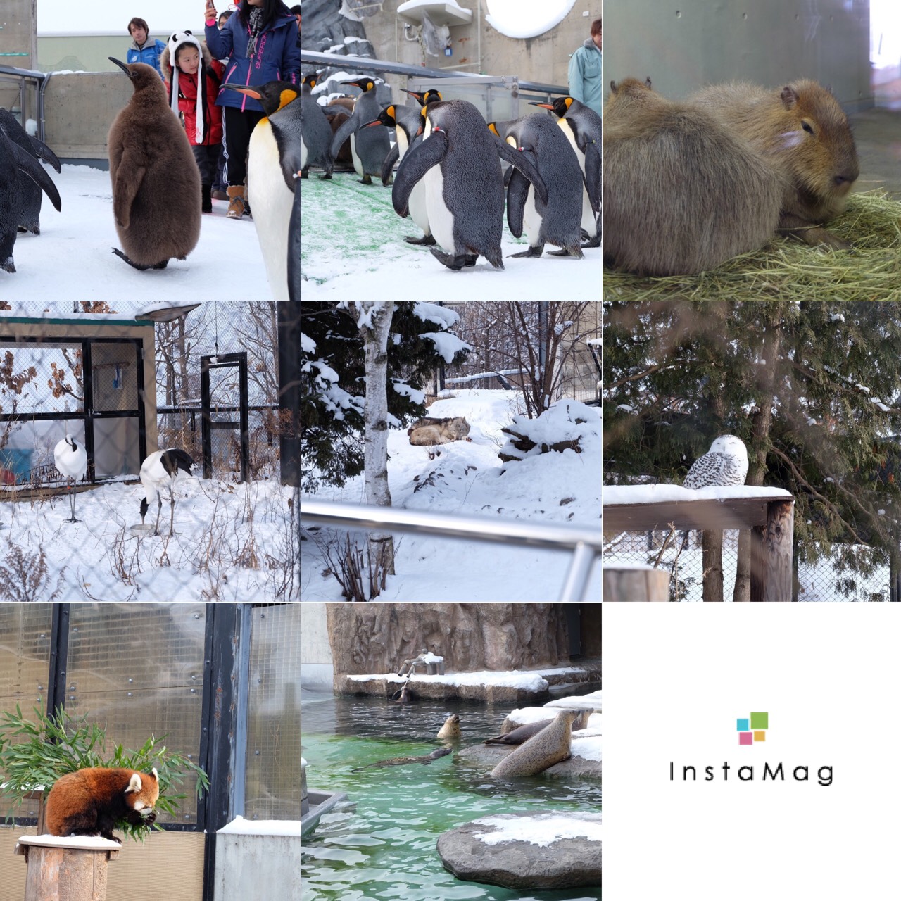 ทัวร์ญี่ปุ่น 