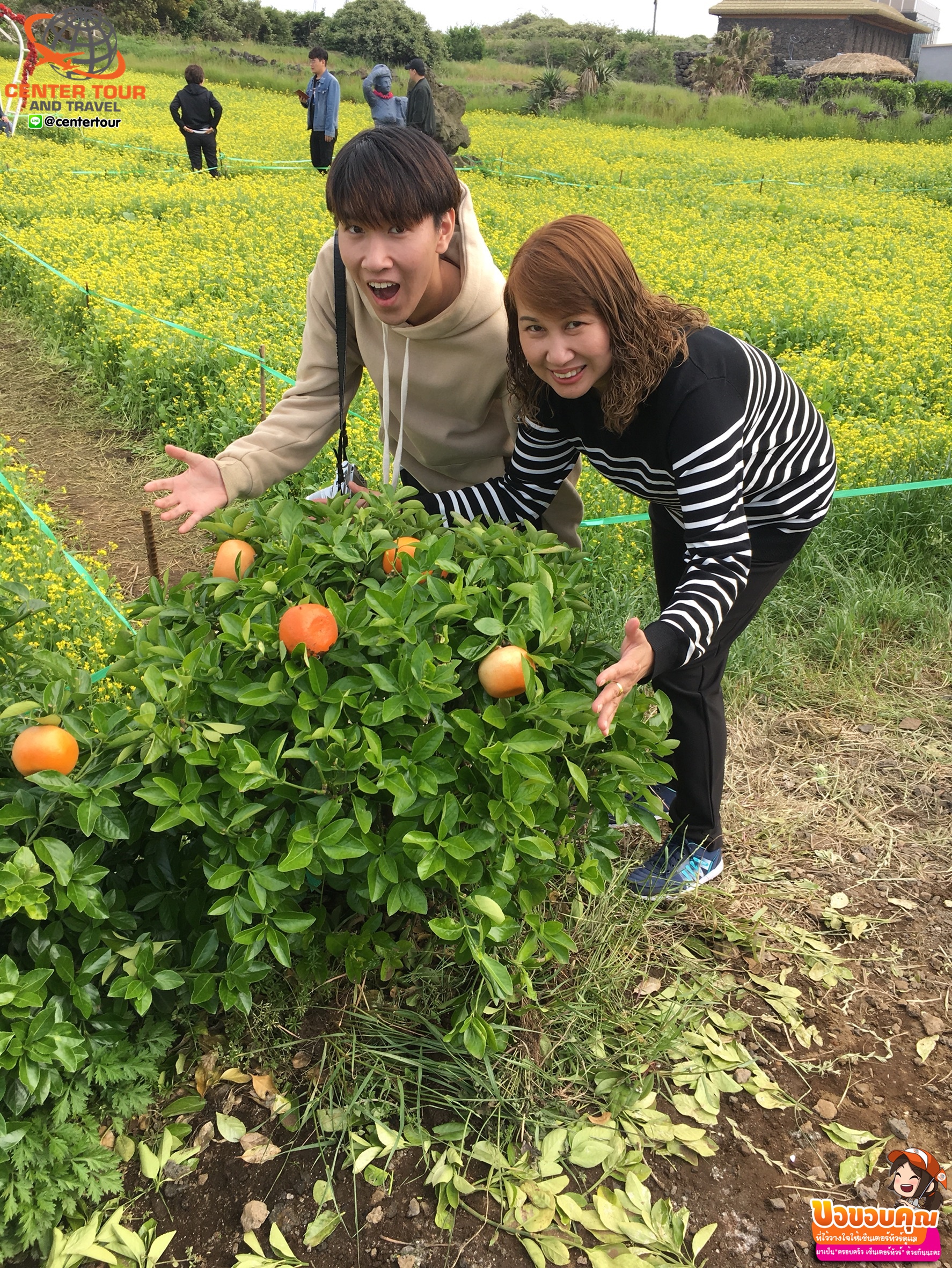 ทัวร์เกาหลี 