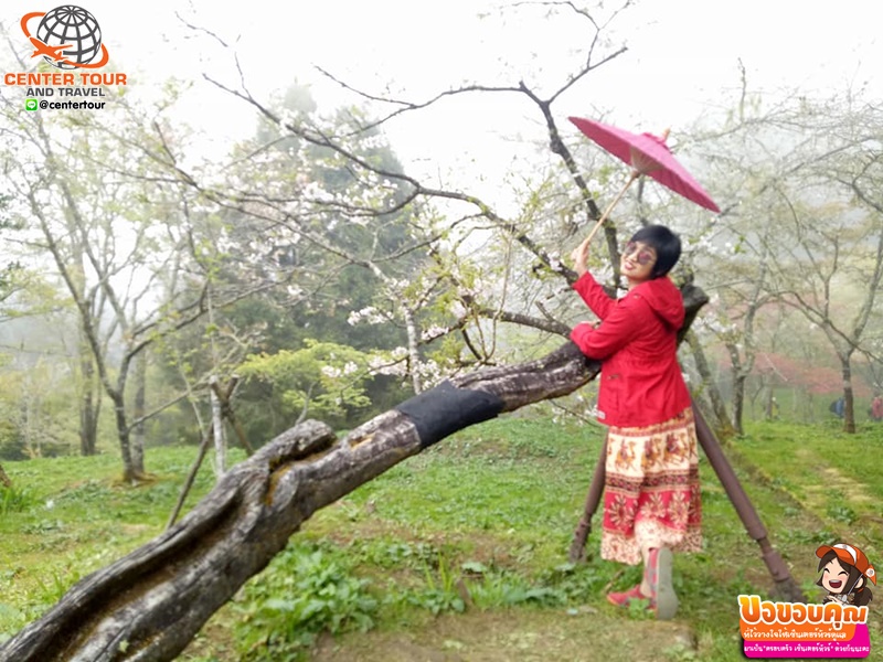 ทัวร์ไต้หวัน 