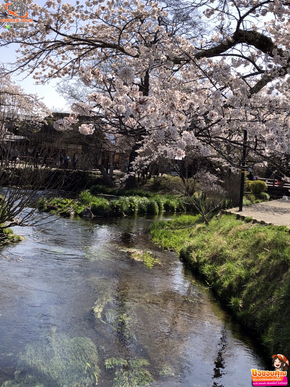 ทัวร์ญี่ปุ่น 