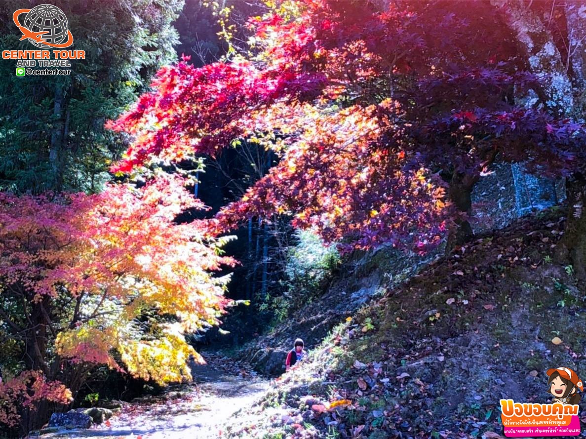 ทัวร์ญี่ปุ่น 