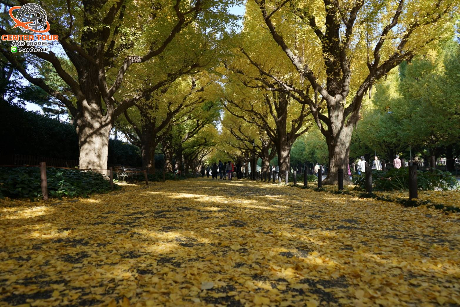 ทัวร์ญี่ปุ่น 