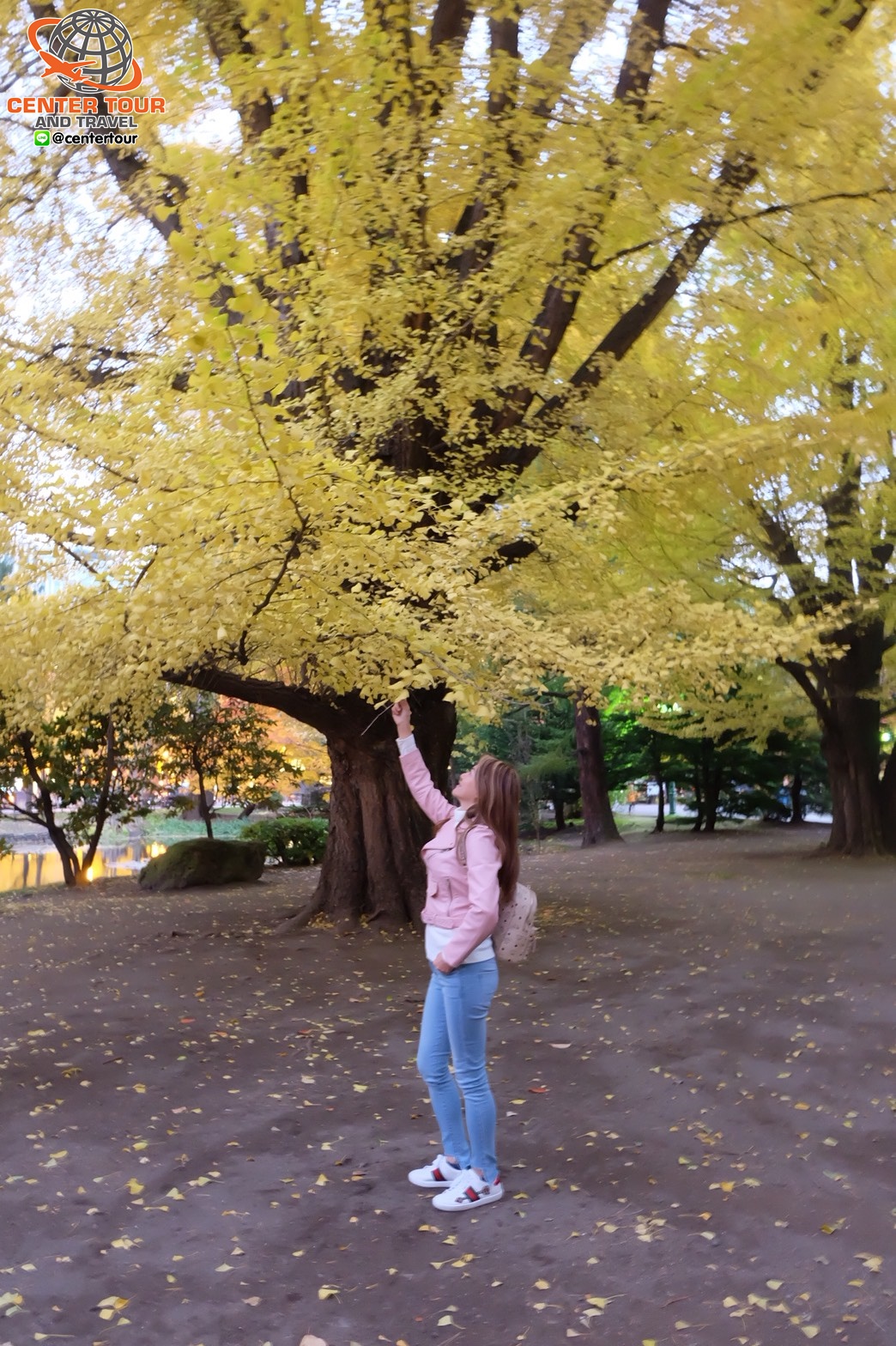 ทัวร์ญี่ปุ่น 