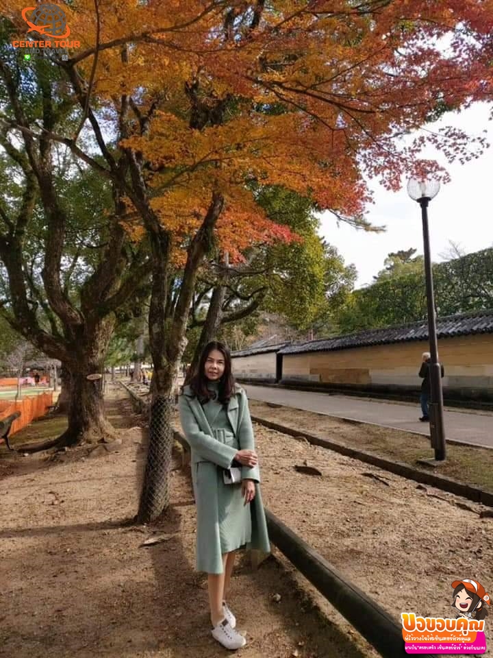 ทัวร์ญี่ปุ่น 