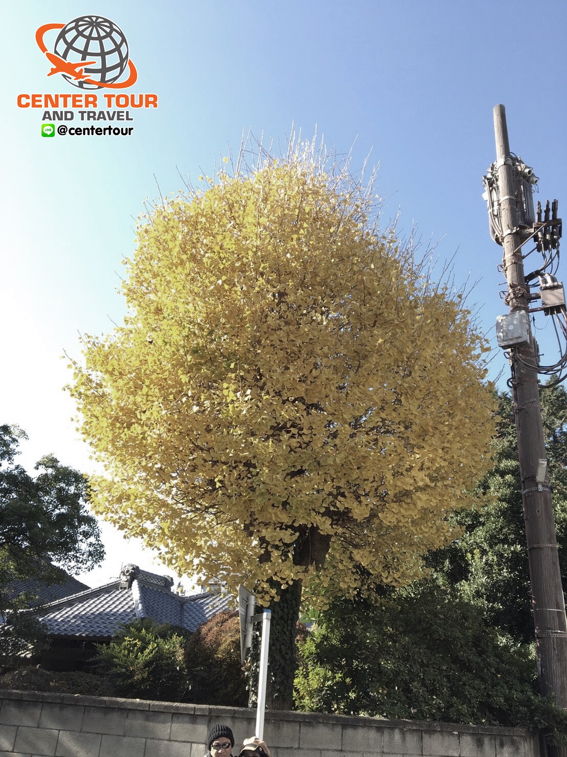 ทัวร์ญี่ปุ่น 