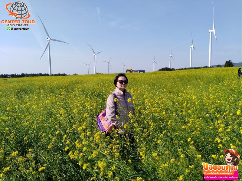 ทัวร์เกาหลี 