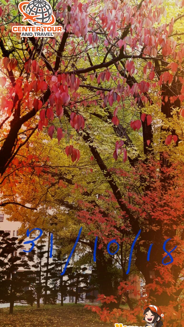 ทัวร์ญี่ปุ่น 