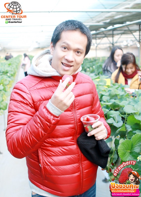 รีวิวลูกค้า ทัวร์เกาหลี