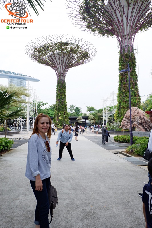 ทัวร์สิงคโปร์ 