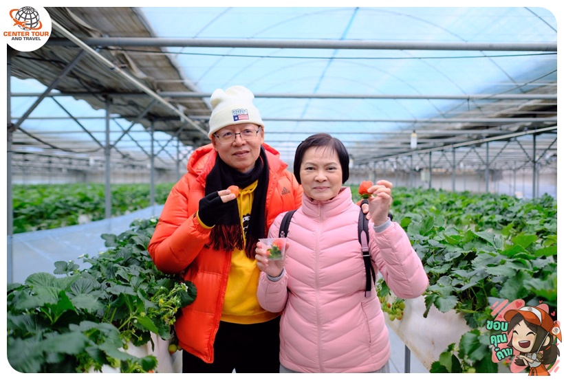 ทัวร์เกาหลี 