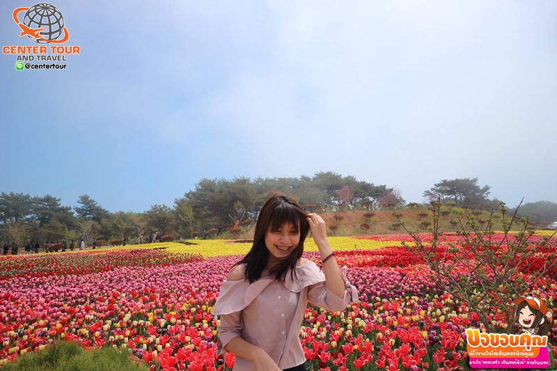 ทัวร์เกาหลี 