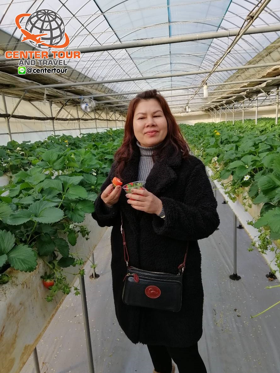 ทัวร์เกาหลี 