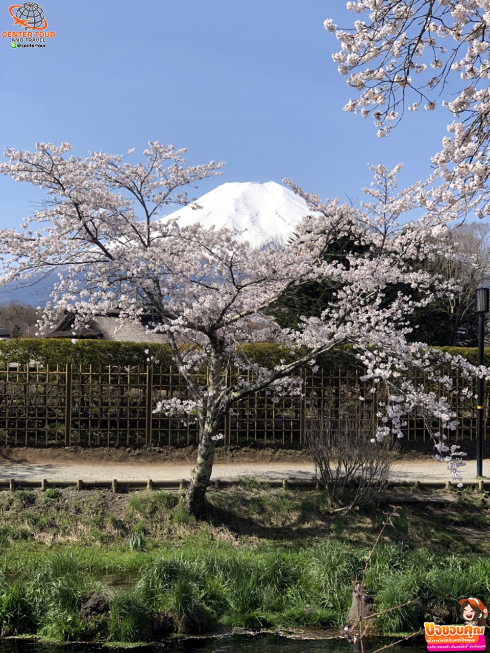 ทัวร์ญี่ปุ่น 