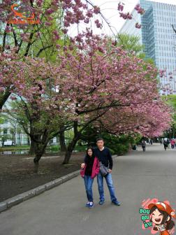 ทัวร์ญี่ปุ่น 