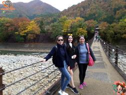 ทัวร์ญี่ปุ่น 